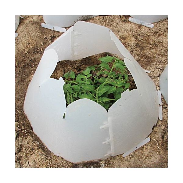 Grow It Now! - Plant Protectors/Frost Guards with Closable Vent, Pack of 3 (Anchor pins not included) (Small)