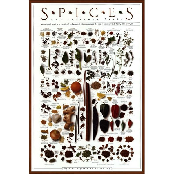 Spices and Culinary Herbs by Ziegler/Keating Laminated Art Print, 24 x 36 inches