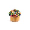 Birthday Snack | Cup Cakes | Snack Cakes | Birthday Cakes | Dairy & Nut Free | 12 Mini Cupcakes Per Pack | 10 oz – Stern’s Bakery (12 Pack)