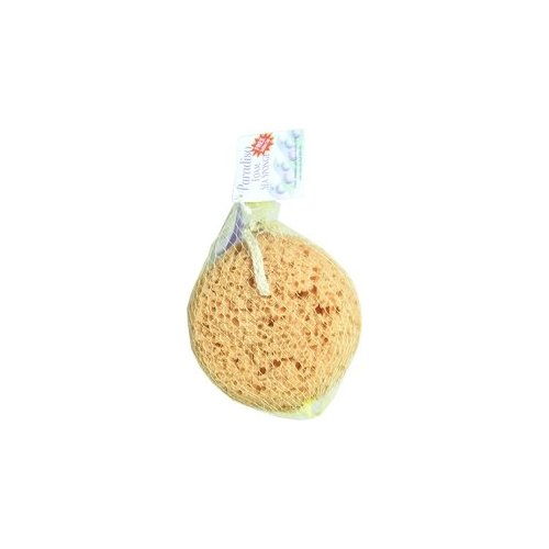 Paradiso Foam Sea Sponge with Suction Cup