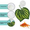 SLSON Fishes Veggie Seaweed Plant Suction Cup Clip Feeding Tool Feed Holder Aquarium Accessories for Fish Tank Fish Feeder Clips (4Pack Transparent)