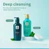 Ryo Scalp Deep Cleansing & Cooling Shampoo 500ml (16.9oz) Excess sebum care, Shampoo for smelly scalp, Fermented mint and other natural ingredients, Anti- Dandruff treatment