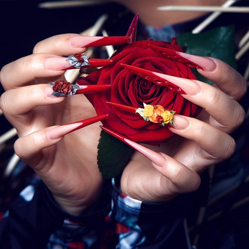 Kalolary 2Pcs Nail Art Dappen Dish with 6Pcs Acrylic Nail Brush Set, Mini Glass Nail Cup with Lid Glass Crystal Bowl Cup Acrylic UV Gel DIY Brush Set Acrylic Liquid Powder Styling Tool(Black Brush)