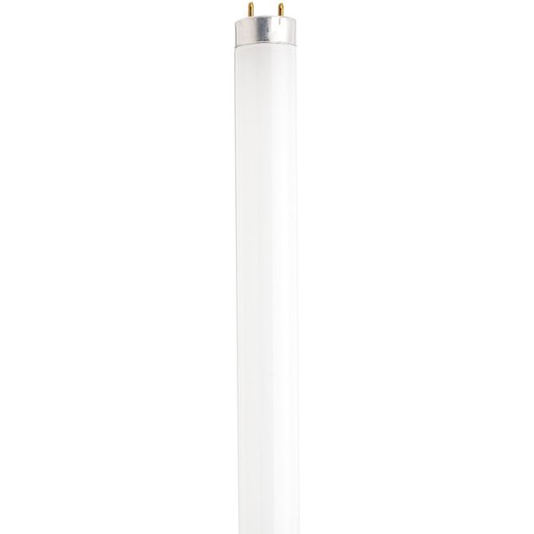 Satco S8405 24-Inch 3500K 17-Watt Medium Bi Pin T8 Instant/Rapid Start Energy Saving Lamp, Neutral White