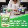 XPRS Nutra Organic Celery Powder - Celery Organic Fresh Powder Antioxidant - Premium Celery Powder Organic - Vegan Friendly Celery Fresh Powder (4 Ounce)