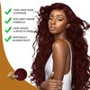 Fedulili Instant Dark Wine Red Hair Dye Shampoo 3 In 1,100% Gray Hair Coverage Root Touch Up 4 Weeks,Hair Color Shampoo For Color Treated Hair,Hair Colors 16.9 Fl Oz,At-Home Hair Dye