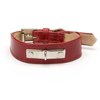 Brass Plate Engrave Tapered Dog Collar, Medium Size 11-14, Red