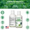 Liquid Chlorophyll Mint Flavored – Cold Extracted from Wild Non-GMO Alfalfa - Alkaline - Natural Body Deodorant – Antioxidant - 16 fl oz