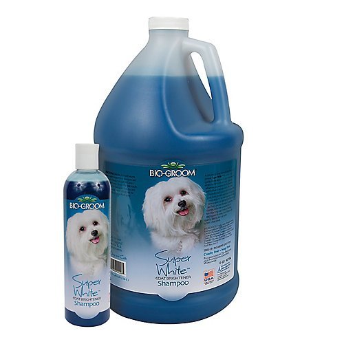 Bio-Groom Super White Dog Shampoo – Whitening Pet Shampoo, Dog Bathing Supplies, Puppy Wash, Dog Grooming Supplies, Cruelty-Free, Made in USA, Coat Brightener Shampoo – 12 fl oz 1-Pack