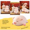 CHDGIOHA Pig Stuffed Animal Plush Pillow - 15.7'' Kawaii Soft Pig Hugging Pillow, Adorable Cuddle Plush Toy, for Kids, Girlfriend, or Adults, Perfect for Christmas and Birthdays (Squint, 15.7in)