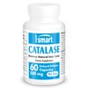 Supersmart - Catalase 500mg per Day (12500 CatU) - Natural Enzyme - Anti Gray Hair Supplement | Non-GMO & Gluten Free - 60 Delayed Release Capsules