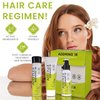 ADDMINO-18 Magic Hair Reborn Kit - Hair Shampoo, Mask & Leave in Conditioner Set