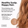 dpHUE Apple Cider Vinegar Scalp Scrub with Pink Himalayan Sea Salt, 9 oz - Natural Exfoliating Scrub & Dry Scalp Treatment - Aloe Vera & Avocado Oil - Gluten Free, Vegan