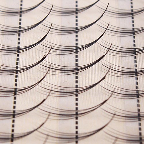 Dedila Pro Granting 3D Mink Phoenix Tail Design Individual False Eyelashes Cluster 5 Root 0.07 C Curl Eye Lash Extension Health Makeup Tools (14MM)
