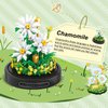 qOvOp Flower Bouquets Building Toys - 490 PCS Little Daisy Micro Building Blocks Kit with Dust Cover, Preserved Flower Home Decor Christmas New Year Birthday Great Gift for Mom/Lover/Women