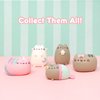 Hamee Pusheen [Surprise Capsule Series] Cute Water Filled Squishy Toy [Birthday Gift Bags, Party Favors, Gift Basket Filler, Stress Relief Toys] - 1 Pc. (Mystery - Blind Capsule)