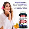 FITO MEDIC'S Lab | ashwagandha |180 Caps | 12000 mg | ashwagandha Capsules | Pure | ashwagandha Supplements | ashwaganda | ashawaganda Pills| aswagandha Vitamin | aswagandha