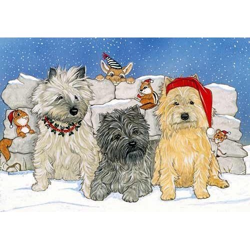 Pipsqueak Cairn Terrier Christmas Cards : 10 Holiday Cards with Red Envelopes - ADORABLE!
