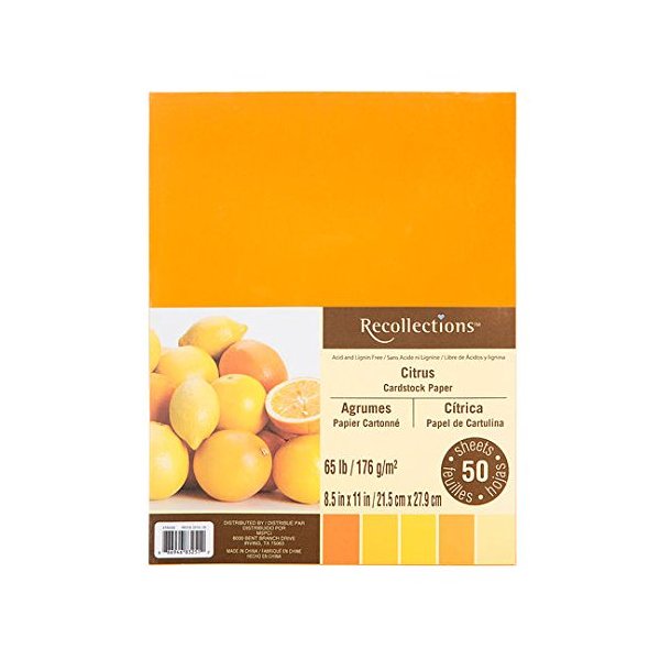 Recollections Citrus Cardstock Paper, 8.5" X 11" - 50 Sheets, 5 Colors