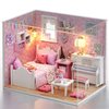 Dollhouse Miniature DIY Kit with Decoration Furniture and LED Lights, Handmade 3D Miniature Dollhouse with Tools and Cover, DIY Wooden Dollhouse with English Instructions (Sunshine Princess Style)