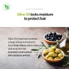 Olive TS Treatment (16.9 Fl Oz / 500mL) | Treatment of Damaged Hair and Dry Scalp and Hair | Olive Oil Hair Treatment - Hydrating and Restorative| Silicone Free | All Hair Types