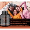 THE ENCLARE NUTRITION Immune Support Vitamins: 10in1 Antioxidant Immunity Booster, Respiratory Support: Vitamin C, B6, E, Elderberry, Zinc, Echinacea, Turmeric, Garlic, Probiotic, L-Glutamine (3)
