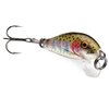 Rapala Countdown 01 Fishing lure, 1-Inch, Rainbow Trout