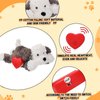 Liliful 2 Pack Puppy Heartbeat Toy Stuffed Puppy for Sleep Aid Plush Animals Dog Toy with Beating Heart Relief Separation Anxiety Training Behavioral