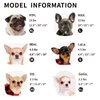 Frienperro Small Dog Shirt, 2-Pack Dog Clothes for Small Dogs Girl, Breathable Cotton Striped Teacup Chihuahua Clothes, Sleeveless Small Yorkie Puppy Clothes Outfit Cat Vest, Green & Pink XXS