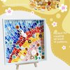 LITMIND Gold Mixed Irregular Glass Mosaic Tiles for Art Crafts, 9oz Value Pack Mosaic Making Supplies, Glass Mosaic Kits for Adults