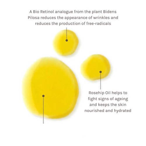 Evolve Organic Beauty - Natural Bio-Retinol + C Skin Booster | Small-Batch, Vegan Clean Beauty (0.24 fl oz | 7 mL)