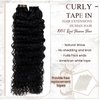 Hetto Black Curly Tape in Hair Extensions Human Hair 22 Inch Natural Wavy Tape in Human Hair Extensions Invisible Double Sided Tape in Extensions Real Human Hair 20Pcs 50g