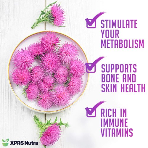 XPRS Nutra Organic Milk Thistle Seed Powder - Premium Milk Thistle Powder Rich in Silymarin and Antioxidants - Milk Thistle Seeds Support Liver Health - Vegan Friendly Milk Thistle Organic (4 Ounce)