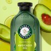 Herbal Essences Avocado & Argan Oil Sulfate Free Shampoo, 13.5 fl oz