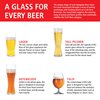 Spiegelau Beer Classics Tulip Glasses, Set of 4, European-Made Lead-Free Crystal, Modern Beer Glasses, Dishwasher Safe, Professional Quality Beer Tulip Glass Gift Set, 15.5 oz
