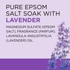Dr Teal's Lavender Essential Oil Epsom Salt and Foaming Bath Sampler Set, 2 Piece