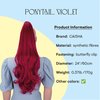 CAISHA 24" Long Hair Clip On Ponytail Extension Heat-Resistant Synthetic Hairpiece Slightly Wavy Red H514