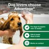 Advantage Flea and Tick Treatment Shampoo for Dogs and Puppies, 8 oz