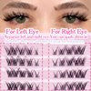 SLSXNL Lash Clusters Wispy Left and Right,Cat Eye C Curl Fox Eye Eyelash Clusters Natural Wispy Cluster Eyelash Extensions 9-14MM Thin Band False Eyelashes 9mm 11mm 12mm 14mm