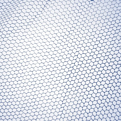 SAFEKO Disposable Honeycomb Nylon Hair Nets | Breathable | 100 Count [BLUE | 18”]