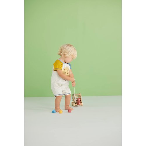 Yellow Wood Dino Shape Sorter