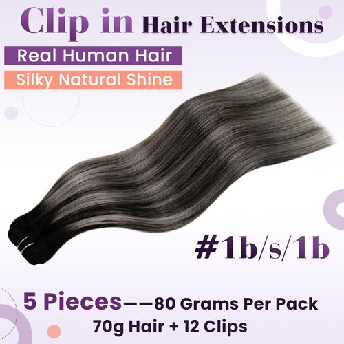 LaaVoo Human Hair Clip in Extensions Black Ombre Clip in Hair Extensions Real Human Hair Ombre Off Black Fading to Silver Grey Balayage Remy Hair Extensions Clip ins Silky Straight 16 Inch 5pcs 80g