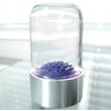MTR Designs Spike Blue Colored Ferrofluid in a Bottle Magnetic Liquid Sculpture Educational Display Executive Desk Toy