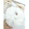 Faux Fur Hair Scrunchies, Pom Pom Hair Tie Furry Hair Bands with Faux Rabbit Fur Fluffy Elastic Hair Bobbles Ponytail Holders Girls Women Hair Accessories (white)