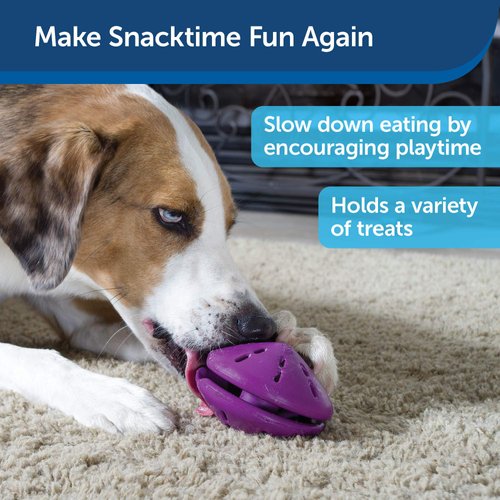 PetSafe Busy Buddy Twist 'n Treat Dispensing Dog Toy - Medium
