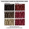 All About Curls 6RG Red Golden Wings Permanent Hair Color (Prep + Protect Serum & Hair Dye for Curly Hair) - 100% Grey Coverage, Nourished & Radiant Curls