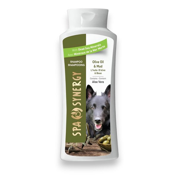 Spa Synergy Pet Dog Shampoo Mud and Natural Dead Sea Mineral Rich, Aloe Vera & Vitamin-E, Anti-itching, Soften & Shiny Coat, Moisturizing - Olive Oil - (1) Bottle 16.5 FL OZ