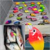 wLure 10 Blank Unpainted Deep Diver Crankbait Fishing Lures with Free Eyes UPC733