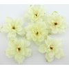 6 pc Lot Cream White Apple Blossom Silk Flower Hair Clips