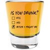 LitGifts Is You Drunk Shot Glass, Cute Shot Glasses for Women or Men, Funny Shot Glasses for Adults, Fun Gifts for Men or Women, Silly Drinking Glasses for Adults, 1.75 Ounce Glass Shot Glass